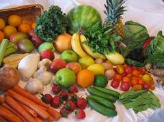 Holistic Nutrition